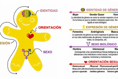 Descubre qué es género y cuántos géneros existen: guía completa