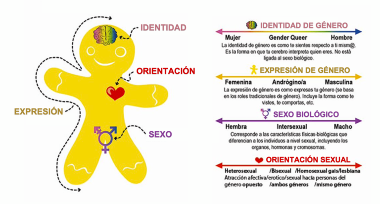 Descubre Qué Es Género Y Cuántos Géneros Existen Guía Completa