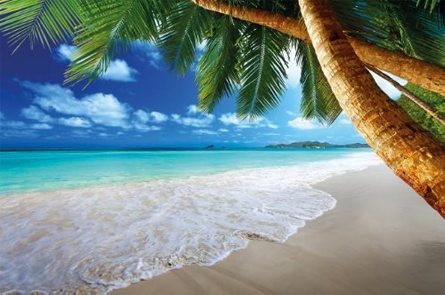 Playa paradisíaca con palmeras