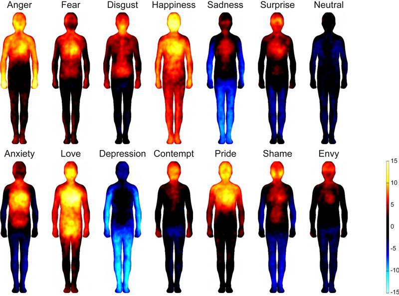 Emociones y patrones humanos