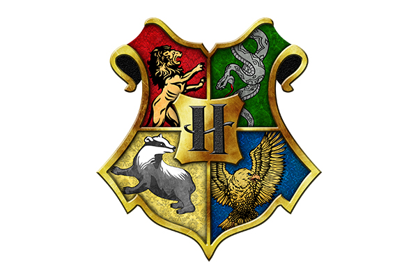 Hogwarts y comunidad de casa