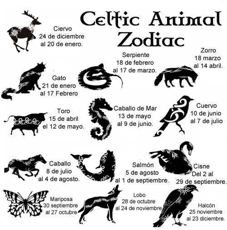 Animales según personalidad