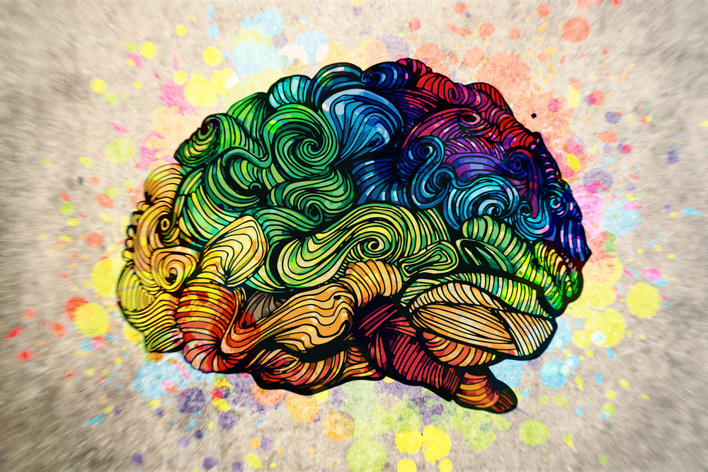 Cerebro y emociones