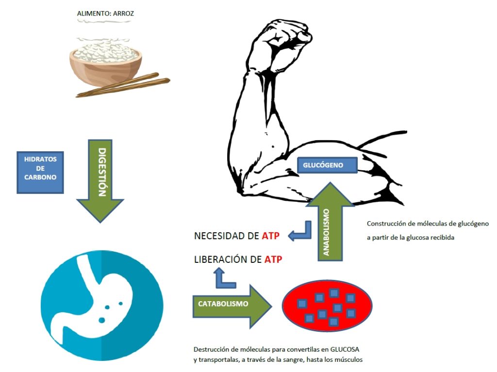 Actividades apasionantes y energéticas