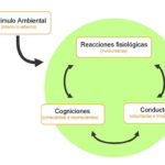 diapositiva1 0