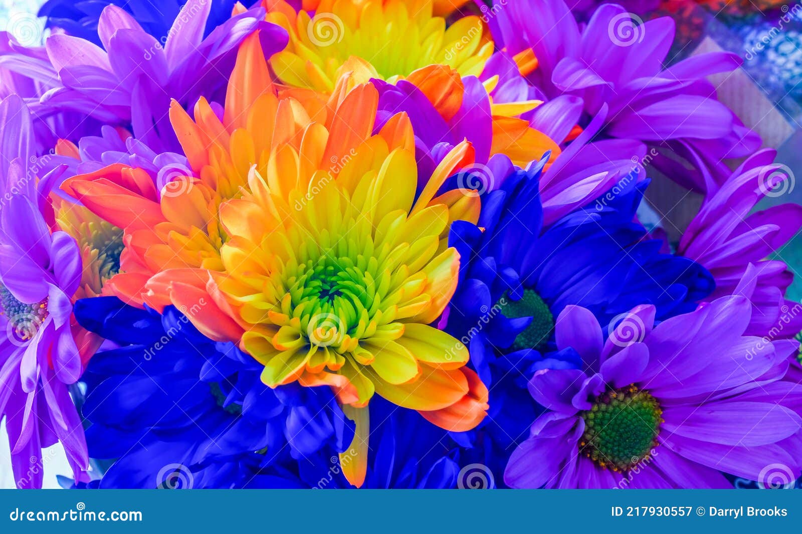 Flores de colores brillantes