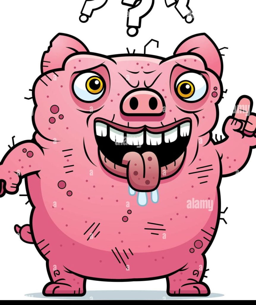 https previews 123rf com images federicofoto federicofoto1606 federicofoto160600686 59381366 cerdo gordo y grande que se inclina sobre la parte trasera de otro cerdo en la crc3ada de cerdos jpg