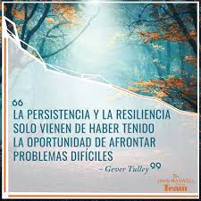 Persistencia y resiliencia