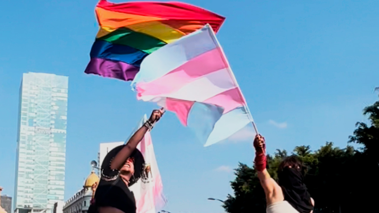 Comunidad LGBTQ+ y activismo