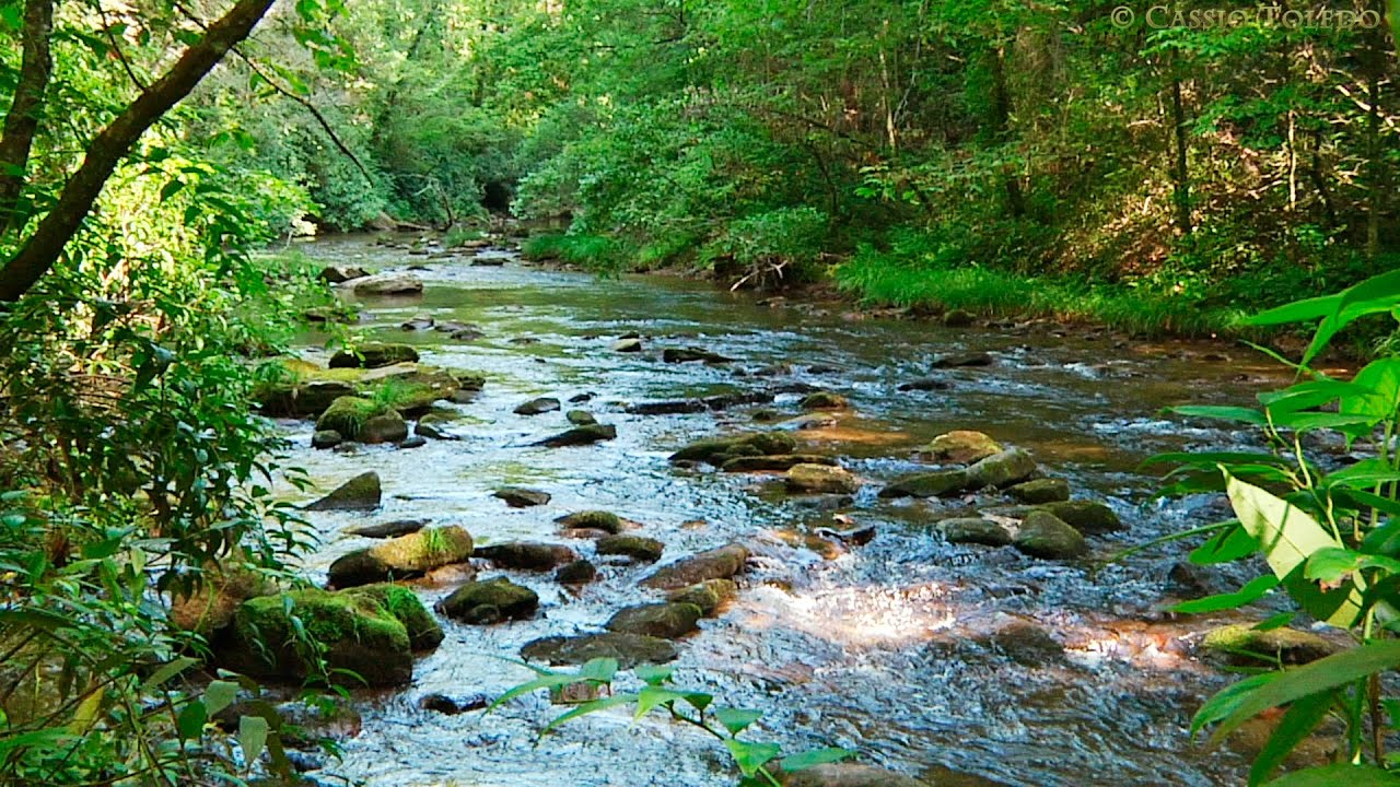 Naturaleza relajante y calmante