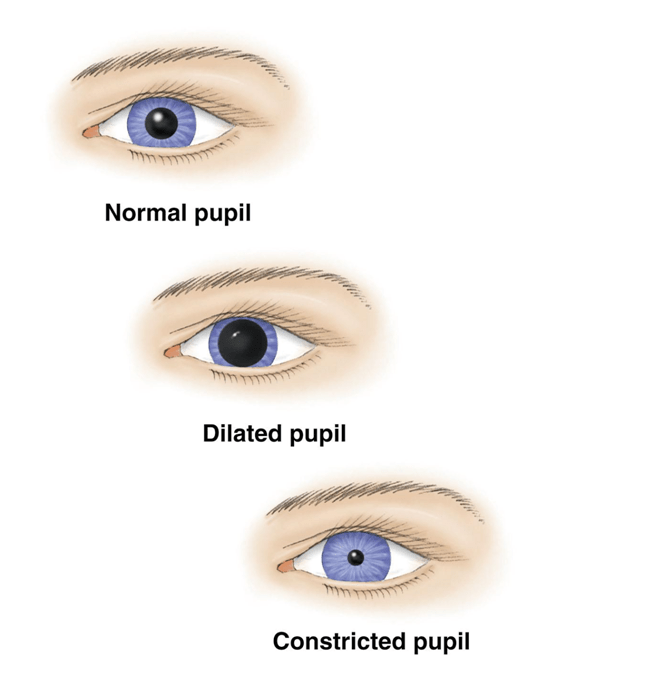 Pupilas dilatadas y emociones